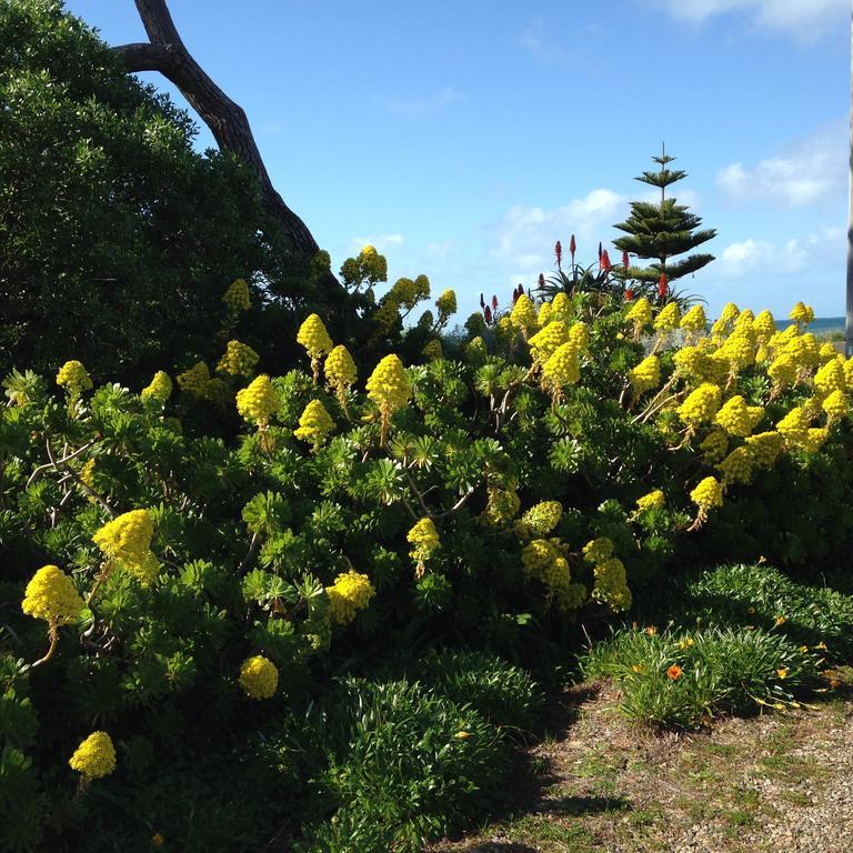 Yelki By The Sea Hotell Encounter Bay Exteriör bild